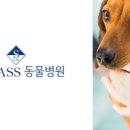 에스 클래스 동물병원 네이버블로그