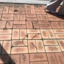 주식회사 오필리아 이미지