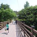 수도산체육공원 축구장 이미지