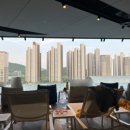 블루멍 펫 테라피 이미지