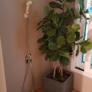 구기스크린골프연습장 이미지