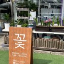 다산꽃집 [ 플레르연아 ] 생일 기념일 꽃다발 선물 + 미니꽃다발 서비스까지!