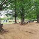 신월동187 이미지