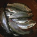 장자골낚시터 이미지