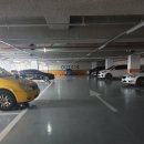 지니스안경 조촌지플레이스점 | [지니스안경 군산조촌G플레이스점]군산조촌안경