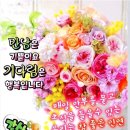 성저파크골프장 Daum카페
