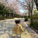 가좌이음숲 이미지