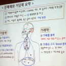 일상화된 미세먼지·대기오염, 약국 상담 &#39;이렇게&#39; 이미지