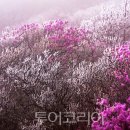 동해금강의원 투어코리아
