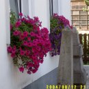 호수별장 이미지