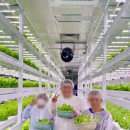 농업회사법인(주)돈우정(원북농장지점) | [광주 스마트팜 자람팜] 광주 실내활동으로 좋은 팜체험 후기