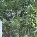 피아노멜로디 음악교습소 이미지
