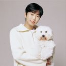 예전 사콜 서울의 달 이미지