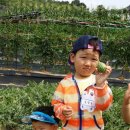 현준농장 이미지