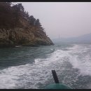 회태리 Daum카페