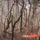 장고개공원 이미지