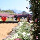 신흥근린공원 이미지