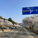 탄동천-2 이미지