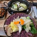 솔밭길꿩농원 티스토리