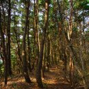 팔조령목장 이미지