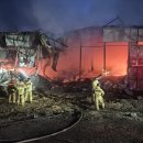 양계장닭한마리 이미지