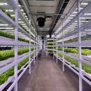 광주농장 이미지