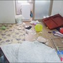 빅토리방역청소