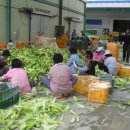 사현네보름영농조합법인 이미지