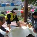 감천2동-8 이미지