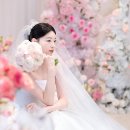 모든스냅G