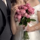 에솔쁘플라워스튜디오 | 🕊️웨딩촬영 :: 셀프 안개꽃 부케 만들기