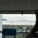 2025 ep.9-3 | 2025 부락을 준비하는 자세 (4일 동안 준비물 챙기고, 3일 동안 미친 듯이 놀기)