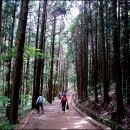 찬물샘약수터 이미지