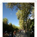 노블린카 이미지