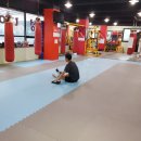 스타복싱 체육관 이미지