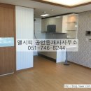 백송부동산공인중개사사무소 이미지