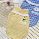 아메리칸 불리 하우스 이미지