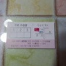 라인댄스(야간) 이미지