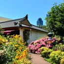 도예로 힐링하기 | 부산 해운대 재송동 브랜드하이커피 신상카페 🌸정원 수국 만개! 미술작품 감성 카페 추천