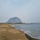 대정 골드빌라스 풀빌라 대가족숙소 이미지