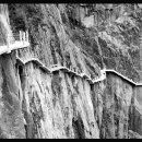 구름속의 산책 이미지