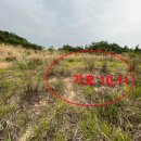 새술막길 이미지