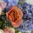 오가네슈퍼 이미지