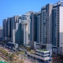 151 청년일보