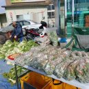 용성농협하나로마트 이미지