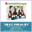 우리가족힐링푸드테라피2 이미지