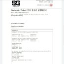 SG투어 Daum카페