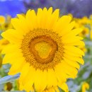 축제의 물결 이미지