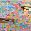 연의양과 이미지