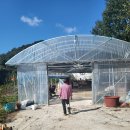 부운농장 | 가을나들이 아이와함께 청양 알밤으로 유명한 부운농장 방문후기